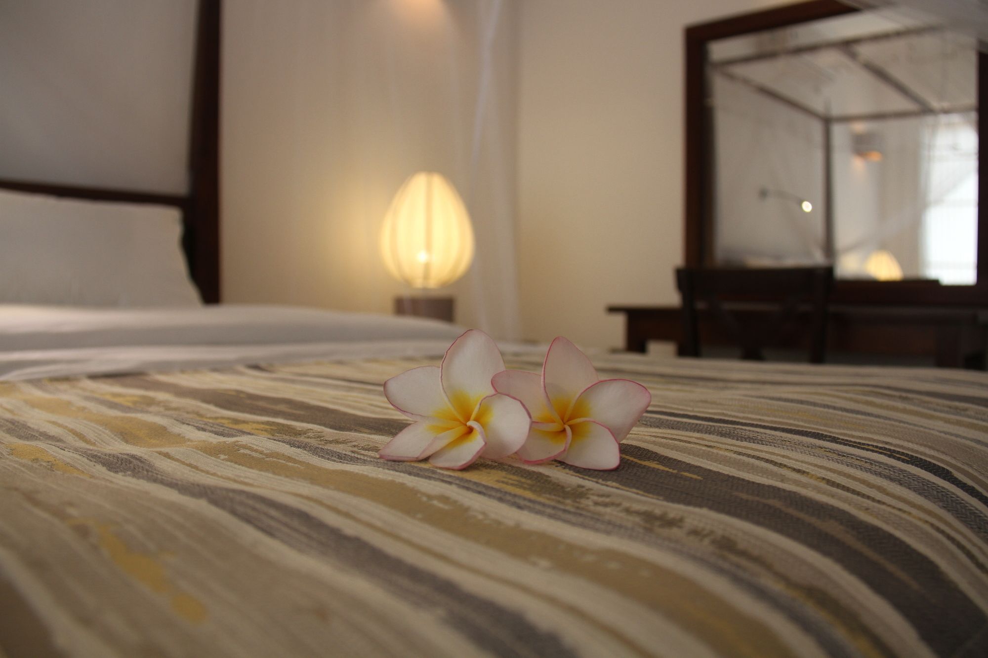 Coza Ceylon Hotel Dehiwala-Mount Lavinia Buitenkant foto